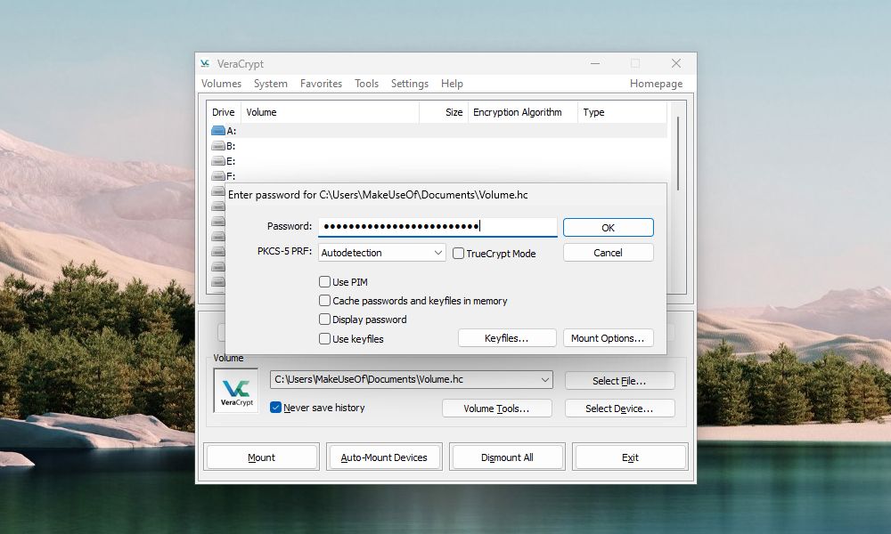 memasukkan kata sandi di VeraCrypt