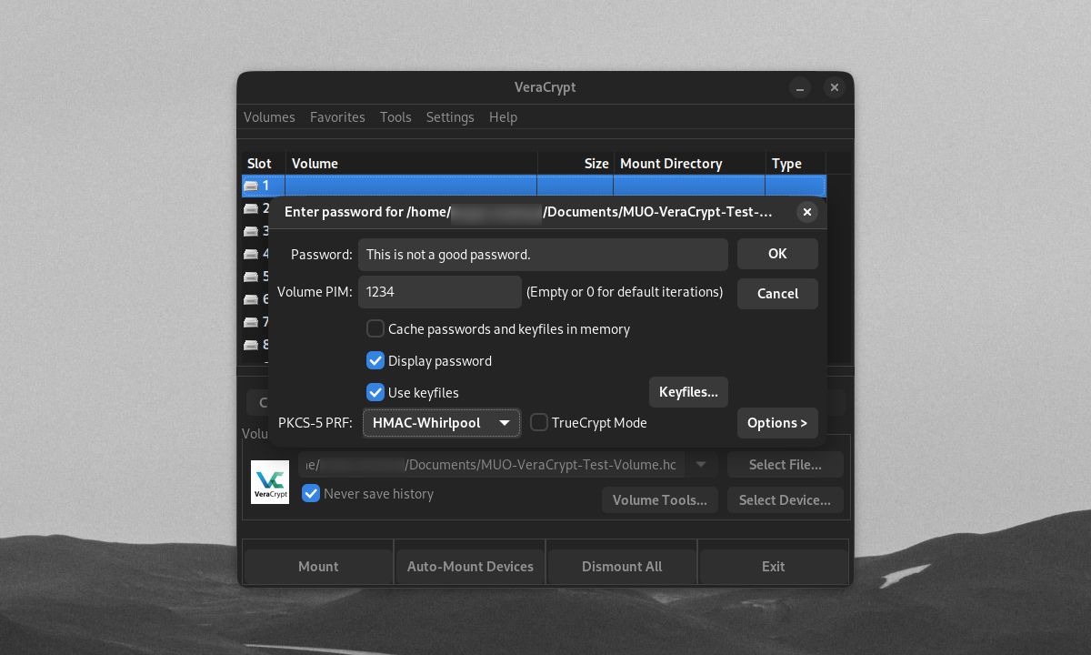 Jendela VeraCrypt meminta untuk memasukkan kata sandi untuk volume pengujian
