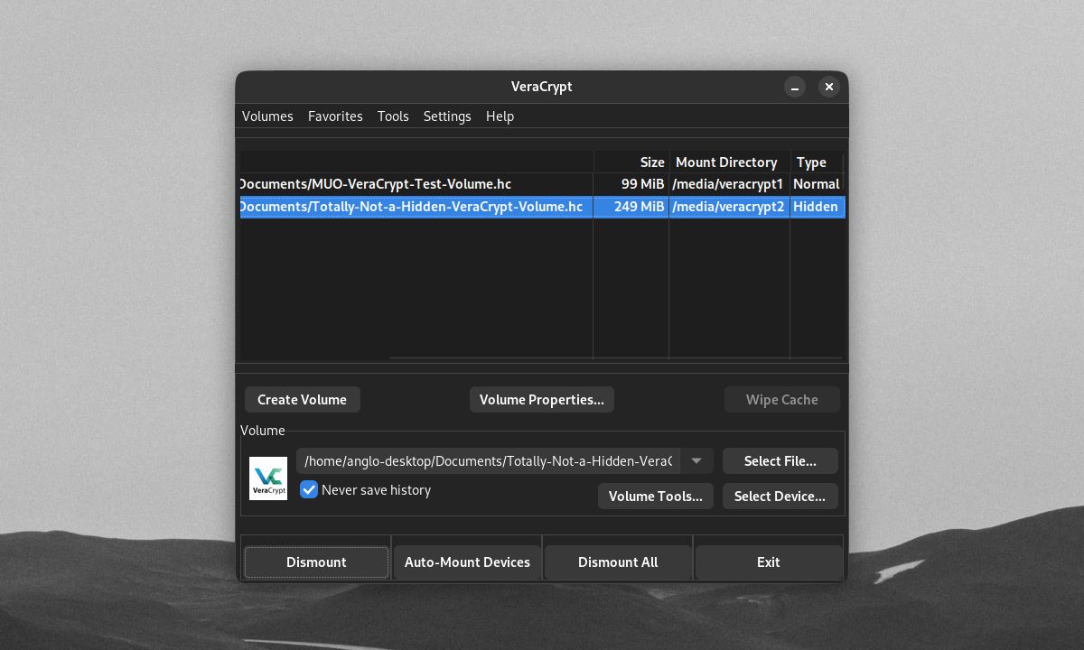 volume utama VeraCrypt dengan volume tersembunyi terpasang