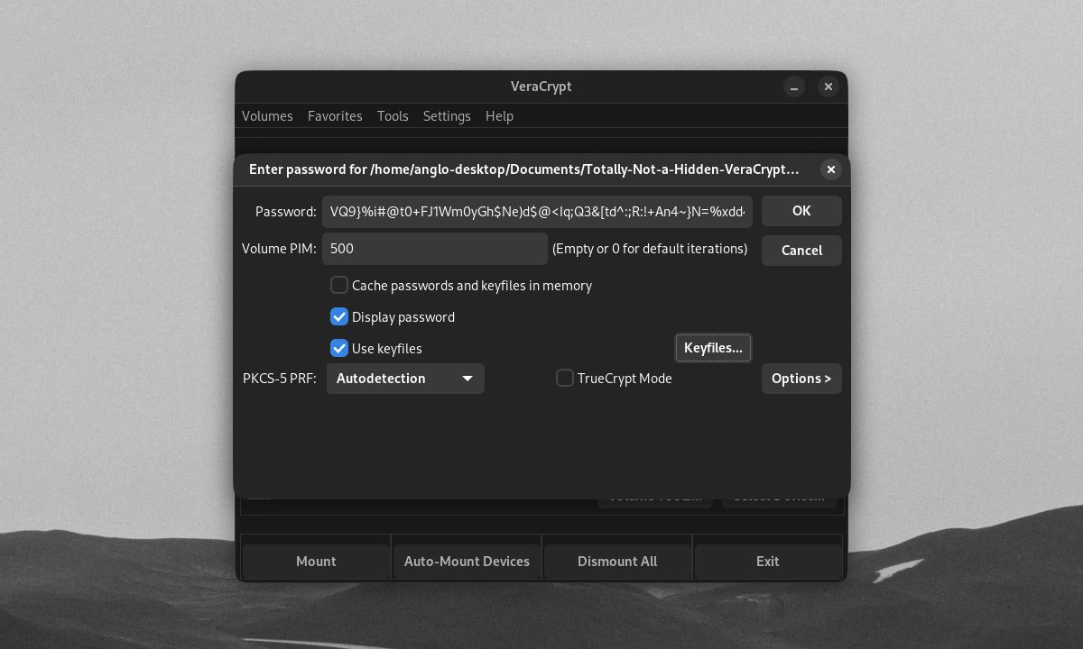 Jendela VeraCrypt memasang volume tersembunyi