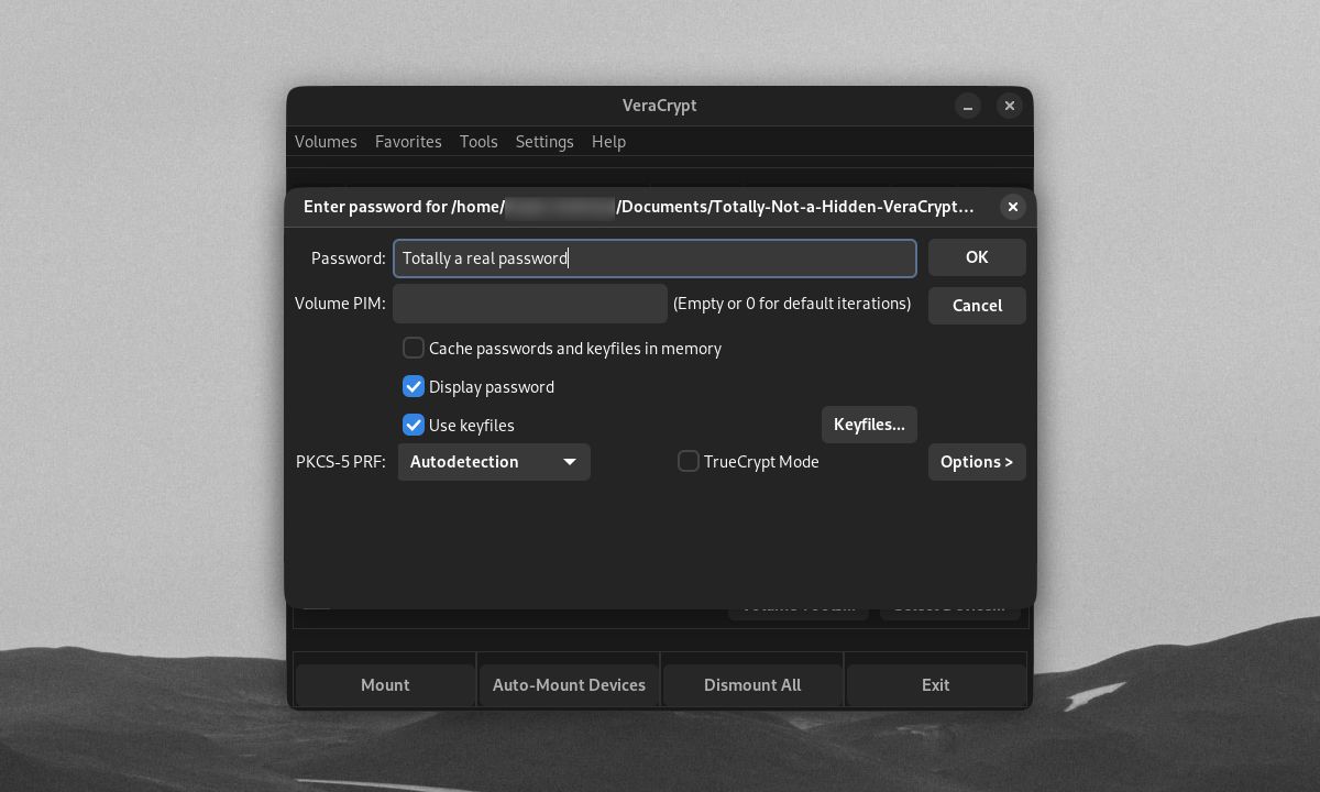 Jendela VeraCrypt memasang volume luar