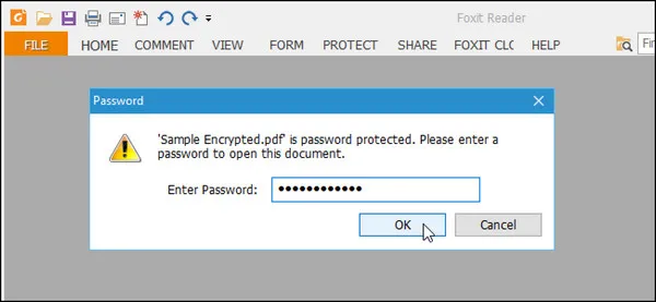 PDF Open Password