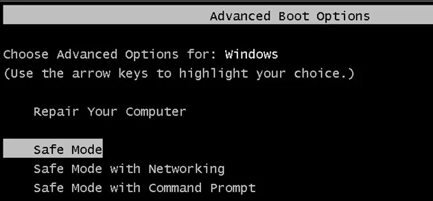 Advanced Boot Option Windows 7