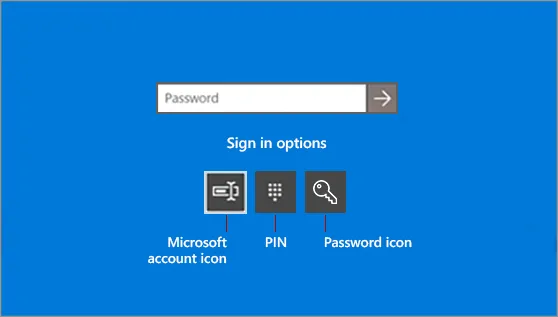 Windows 10 Password Options