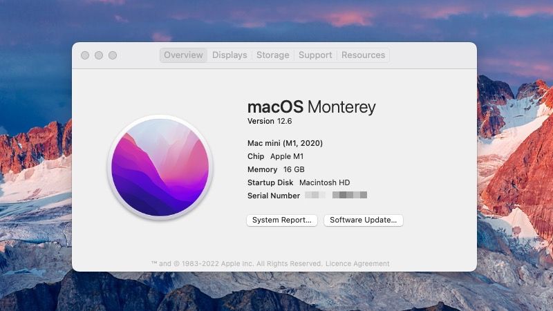 소프트웨어 버전을 표시하는 macOS의 이 Mac 정보